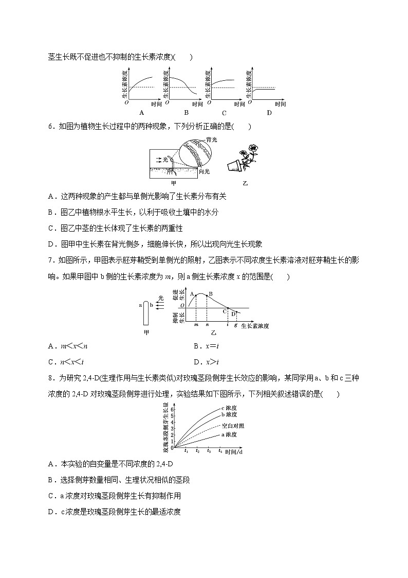 4.1.2精编生长素的运输和生理作用（精编课件+同步练习）精编高二生物同步备课系列（新苏教版（2019）选择性必修1）02