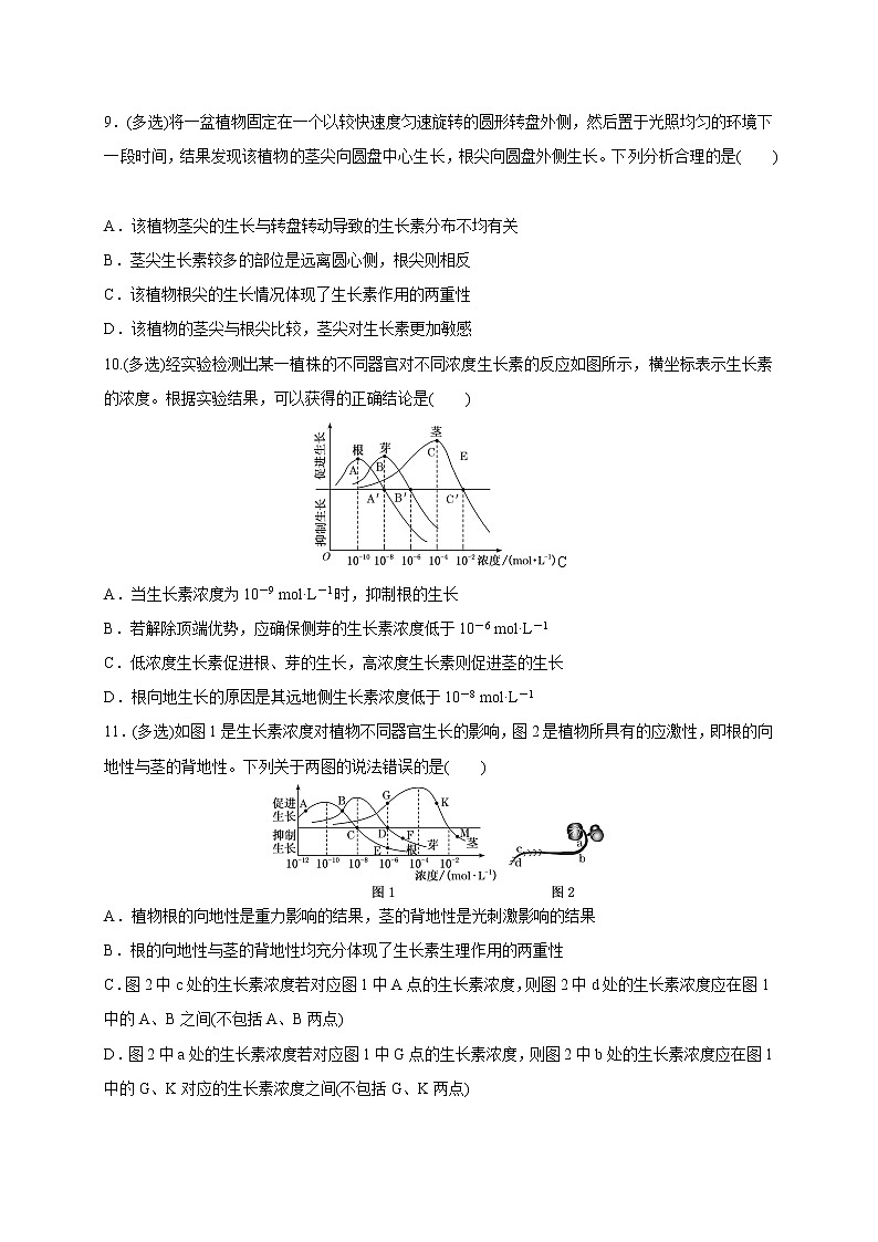 4.1.2精编生长素的运输和生理作用（精编课件+同步练习）精编高二生物同步备课系列（新苏教版（2019）选择性必修1）03