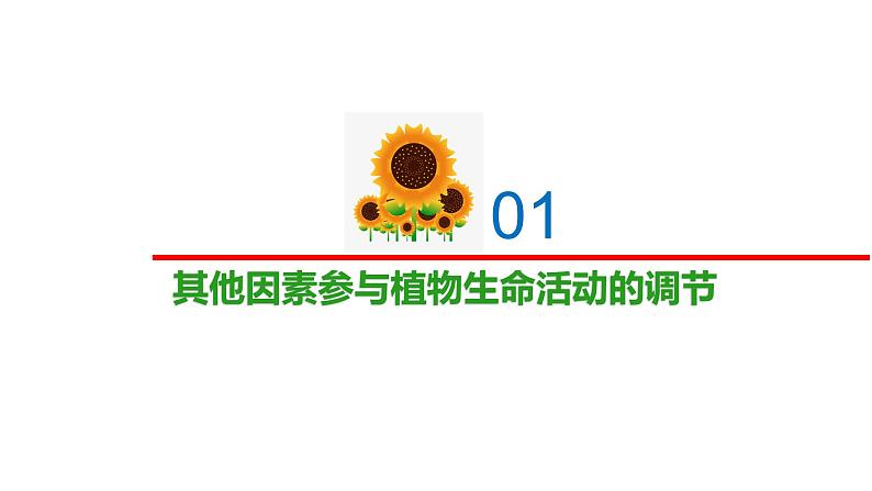 4.2.2其他影响因素和实验（精编课件+同步练习）精编高二生物同步备课系列（新苏教版（2019）选择性必修1）02