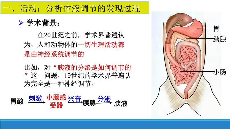 3.1 体液调节是通过化学信号实现的调节（精编课件+同步练习）精编高二生物同步备课系列（浙科版2019选择性必修1）05