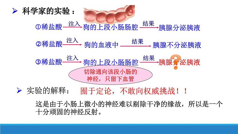 3.1 体液调节是通过化学信号实现的调节（精编课件+同步练习）精编高二生物同步备课系列（浙科版2019选择性必修1）06