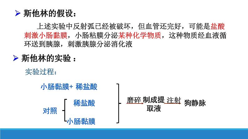 3.1 体液调节是通过化学信号实现的调节（精编课件+同步练习）精编高二生物同步备课系列（浙科版2019选择性必修1）07