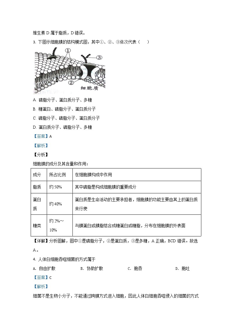 2019-2020学年陕西省西安市长安区一中高二下学期期中考试生物（文）试题 解析版02