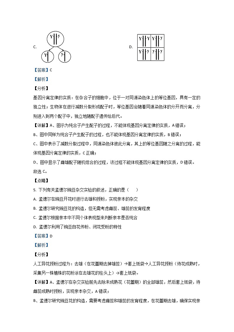2020-2021学年陕西省西安市长安区一中高二上学期期中考试生物（文）试题 解析版第3页