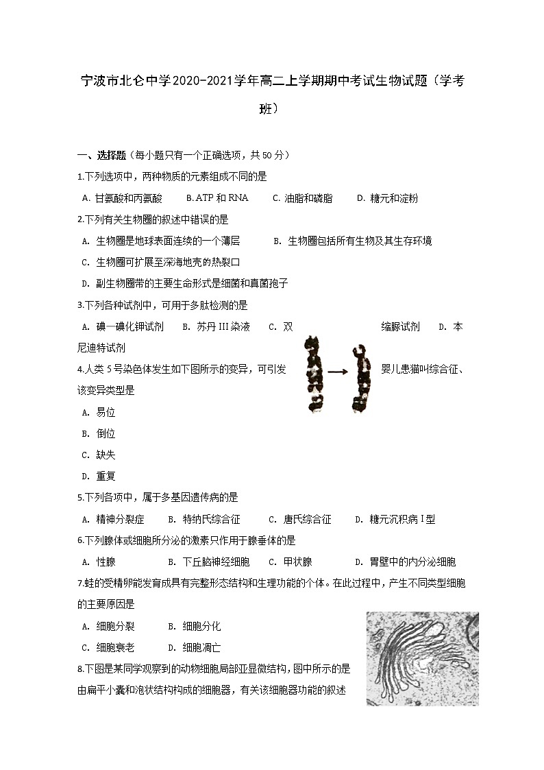 2020-2021学年浙江省宁波市北仑中学高二上学期期中考试生物（学考）试题 Word版01