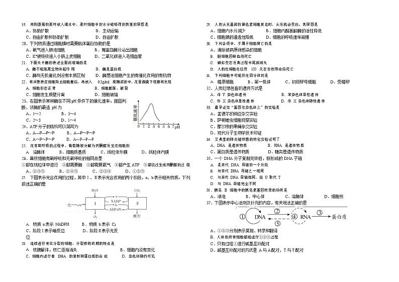 2021-2022学年黑龙江省哈尔滨市哈尔滨第九中学高二上学期期中学业阶段性评价考试 生物 文科第2页