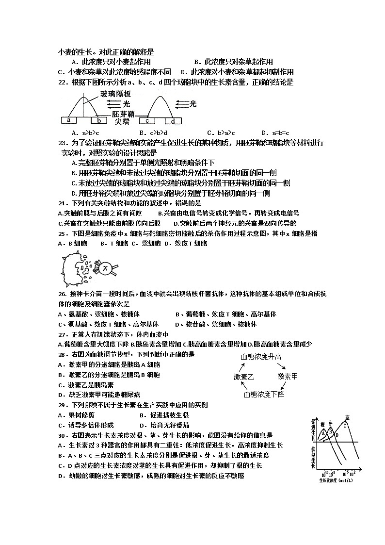 2021-2022学年湖南省邵东县第三中学高二上学期期中考试（学考班）生物试题（Word版）03