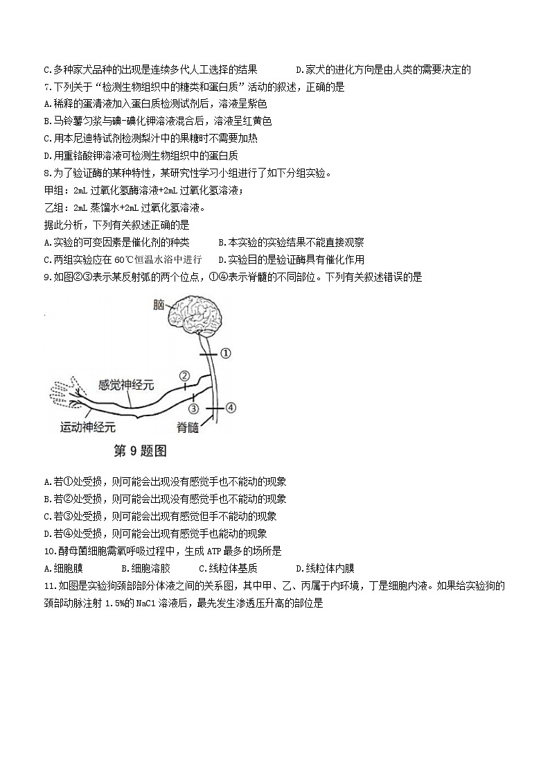2021-2022学年浙江省杭州市七县市高二上学期期末学业水平测试生物试题02