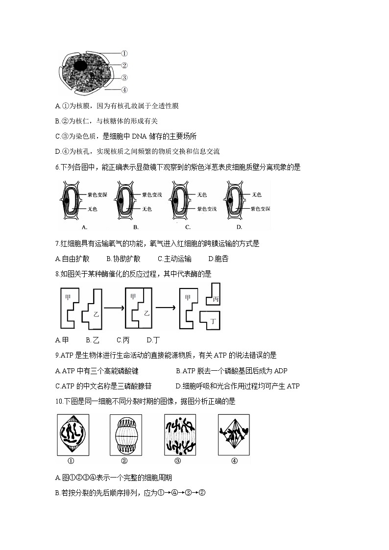 2019-2020学年湖南省郴州市高二学业水平考试模拟监测试题 生物 word版第2页