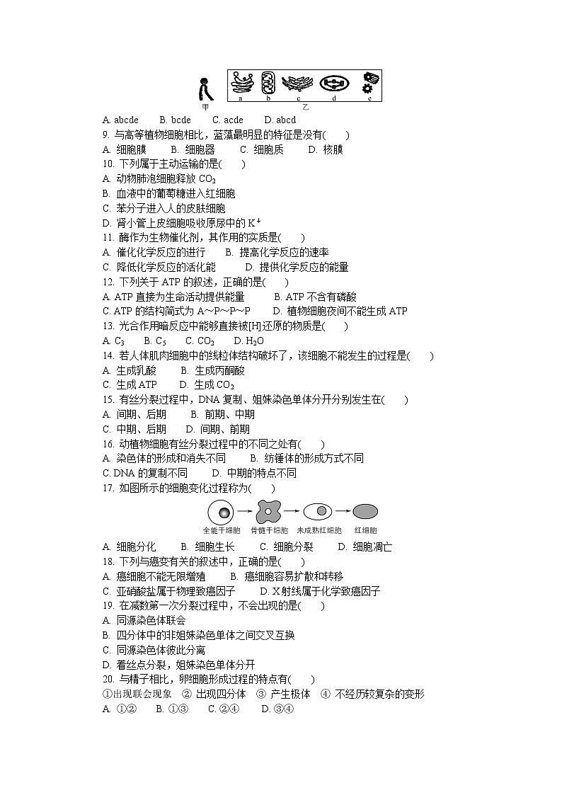 2019-2020学年江苏省连云港市高二学业水平合格性考试模拟试题（12月） 生物 Word版02