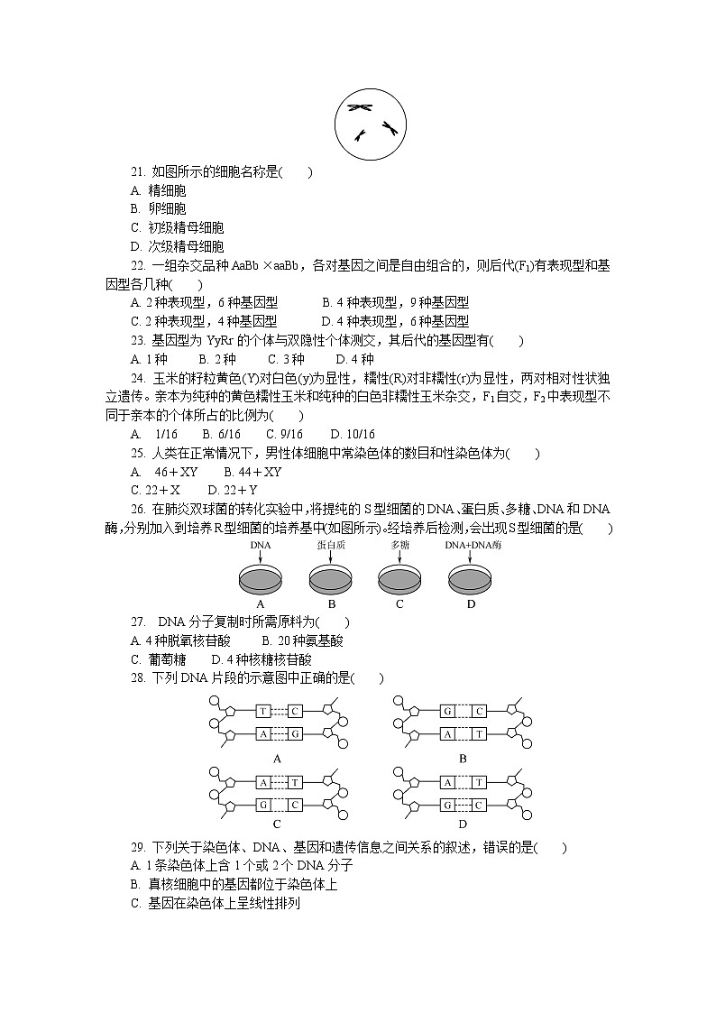 2019-2020学年江苏省连云港市高二学业水平合格性考试模拟试题（12月） 生物 Word版03