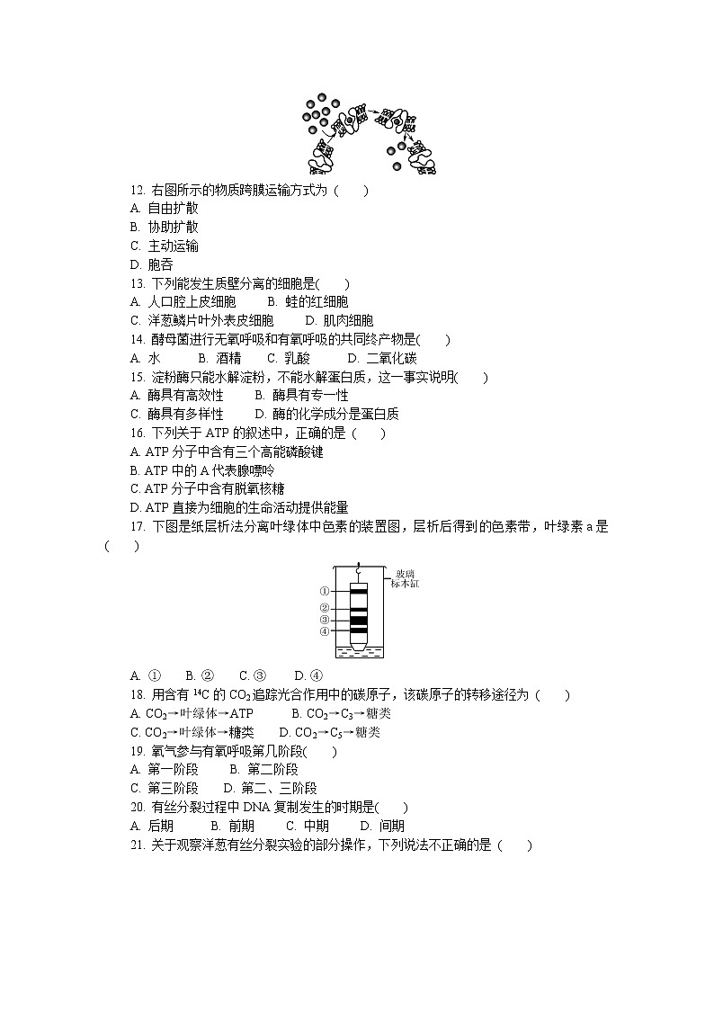 2019-2020学年江苏省扬州市高二学业水平合格性考试模拟试题（12月） 生物 Word版第2页