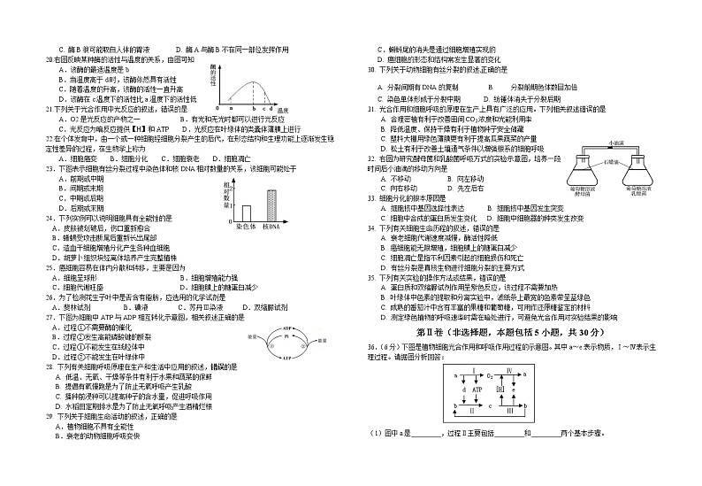 2020-2021学年江苏省海安高级中学高二上学期高中合格性考试生物试题（必修） Word版第2页