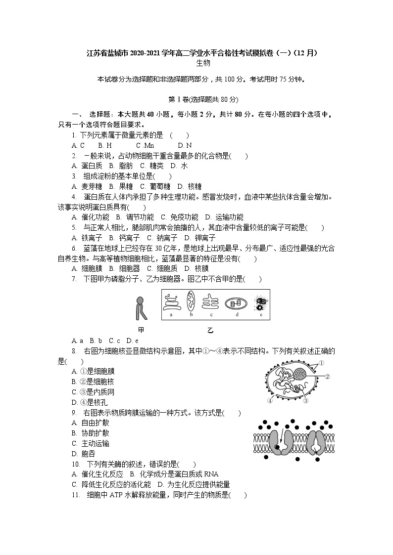 2020-2021学年江苏省盐城市高二学业水平合格性考试模拟卷（一）（12月） 生物 word版01