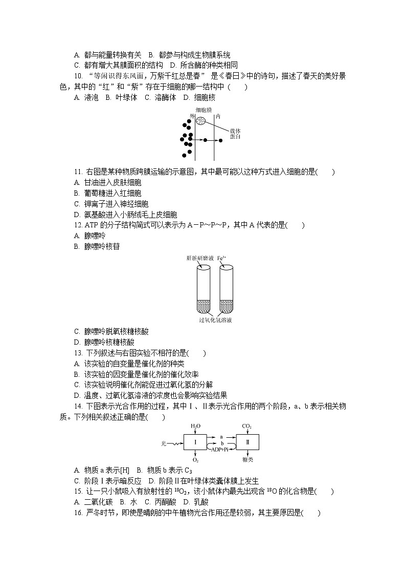 2020-2021学年江苏省扬州市高二学业水平合格性考试模拟试题（四）（1月） 生物 Word版第2页