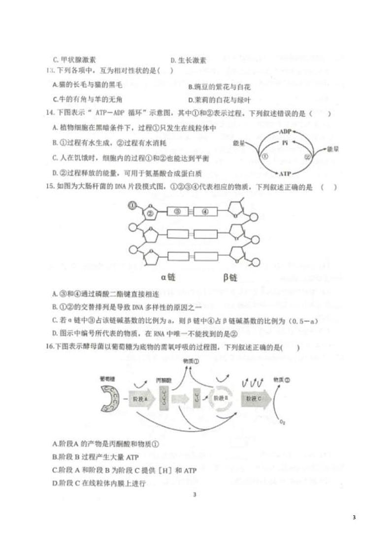 2019-2020学年浙江省慈溪市6月高中学业水平模拟考试生物试题  PDF版03