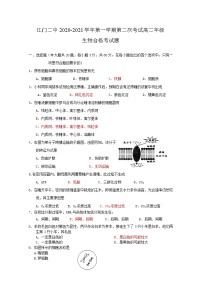 2020-2021学年广东省江门市第二中学高二上学期第二次考试（学业水平）生物试题 Word版