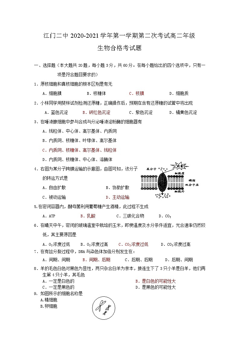 2020-2021学年广东省江门市第二中学高二上学期第二次考试（学业水平）生物试题 Word版第1页