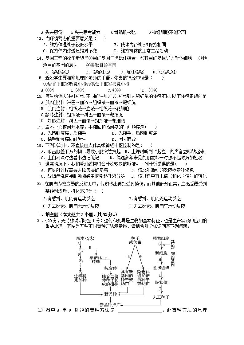 2020-2021学年广东省佛山市第一中学高二上学期第一次段考试题 生物（学考）Word版02