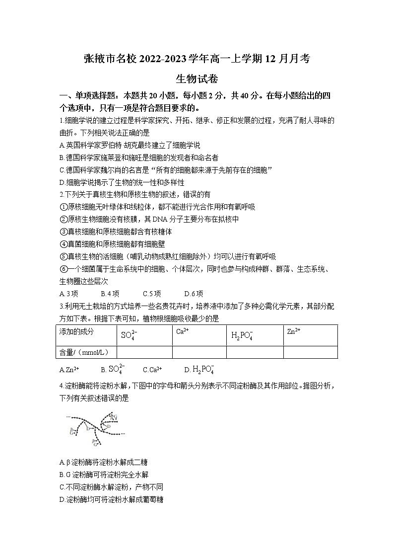 甘肃省张掖市2022-2023学年高一生物上学期12月月考试卷第1页
