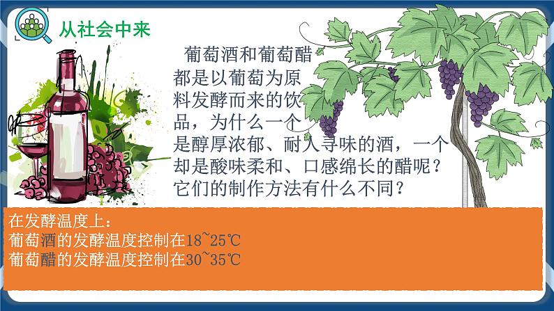 1.1 传统发酵技术的应用（备课件）-【上好课】2021-2022学年高二生物同步备课系列（人教版2019选择性必修3）第5页