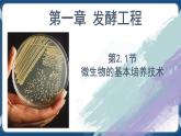 1.2.1微生物的基本培养技术（课件+练习）高二生物（人教版2019选择性必修3）