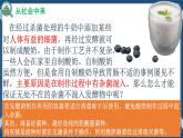 1.2.1微生物的基本培养技术（课件+练习）高二生物（人教版2019选择性必修3）
