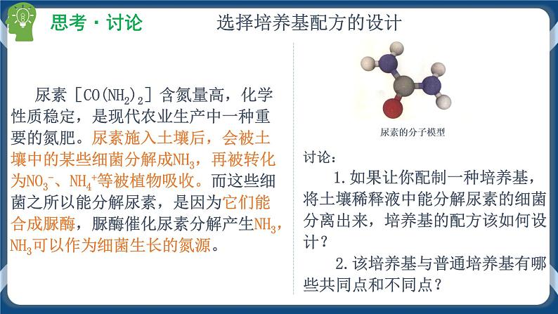 1.2.2 微生物的选择培养和计数第6页