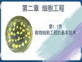 2.1.1植物细胞工程的基本技术（课件+练习）高二生物（人教版2019选择性必修3）