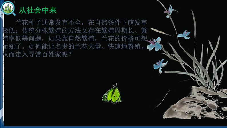 2.1.1植物细胞工程的基本技术（课件+练习）高二生物（人教版2019选择性必修3）04