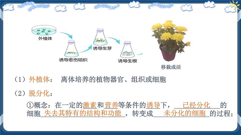 2.1.1植物细胞工程的基本技术（课件+练习）高二生物（人教版2019选择性必修3）08