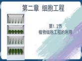 2.1.2 植物细胞工程的应用 高二生物课件+练习（人教版2019选择性必修3）