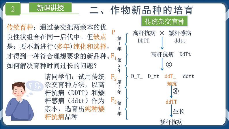 2.1.2 植物细胞工程的应用 (课件）高二生物（人教版2019选择性必修3）第8页