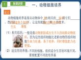 2.2.1 動物細胞培養(yǎng) (課件+練習(xí)）高二生物（人教版2019選擇性必修3）