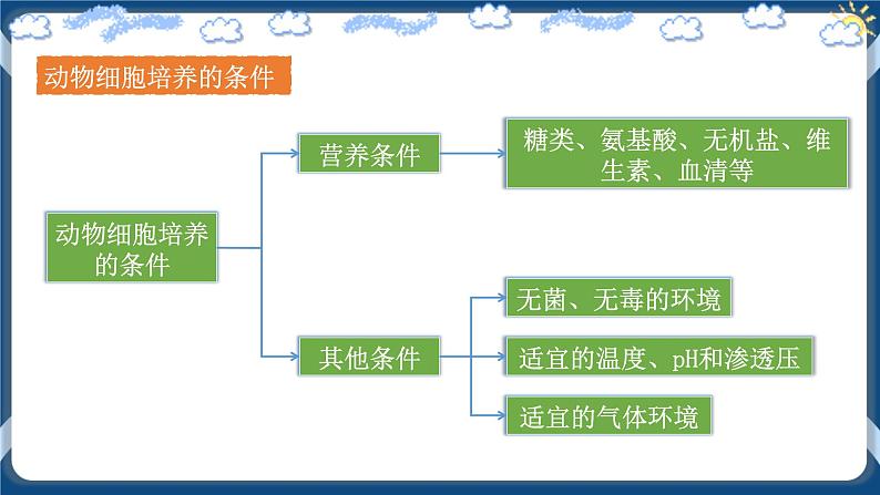 2.2.1 动物细胞培养第6页