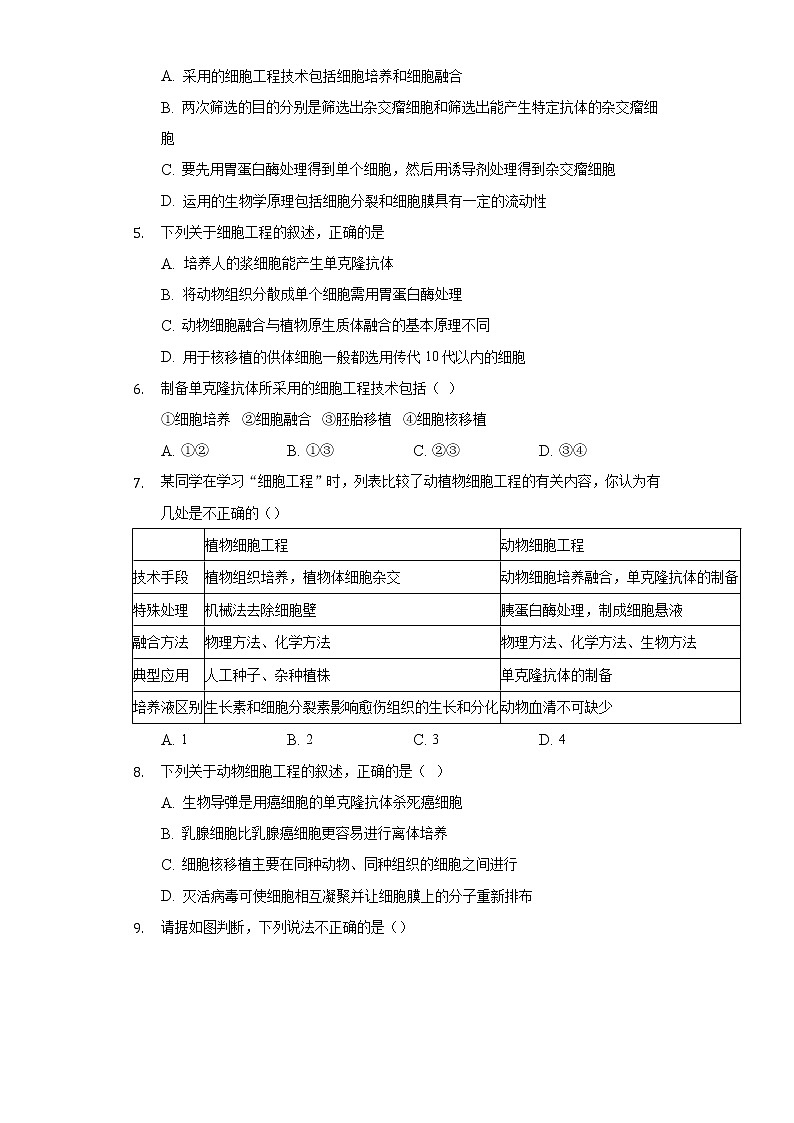 2.2.2 动物细胞融合技术与单克隆抗体 (课件+练习）高二生物（人教版2019选择性必修3）02