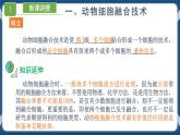 2.2.2 动物细胞融合技术与单克隆抗体 (课件+练习）高二生物（人教版2019选择性必修3）