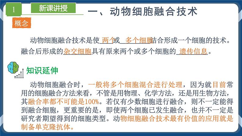 2.2.2 动物细胞融合技术与单克隆抗体 (课件+练习）高二生物（人教版2019选择性必修3）05