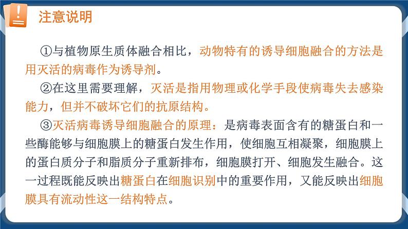 2.2.2 动物细胞融合技术与单克隆抗体 (课件+练习）高二生物（人教版2019选择性必修3）07