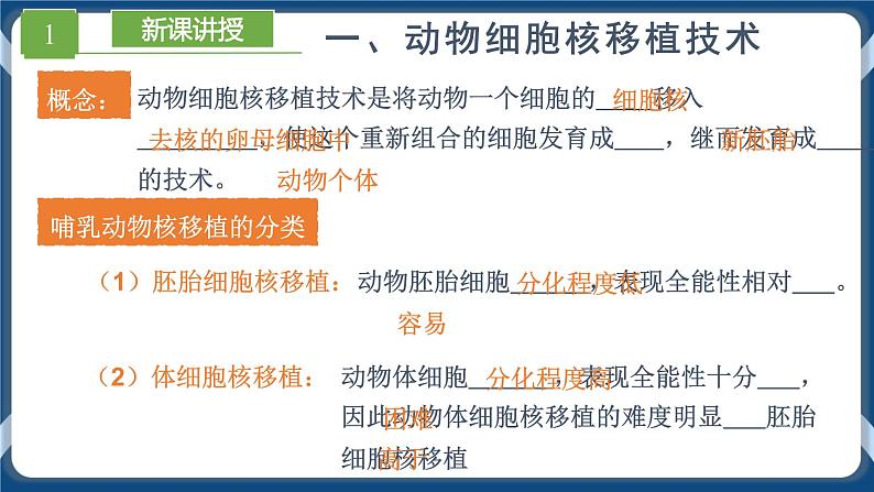 2.2.3 动物体细胞核移植技术和克隆动物 (课件+练习）高二生物（人教版2019选择性必修3）05