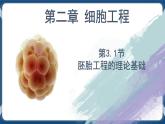 2.3.1 胚胎工程的理论基础 (课件+练习）高二生物（人教版2019选择性必修3）