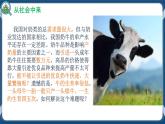 2.3.1 胚胎工程的理论基础 (课件+练习）高二生物（人教版2019选择性必修3）