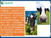 2.3.1 胚胎工程的理论基础 (课件+练习）高二生物（人教版2019选择性必修3）