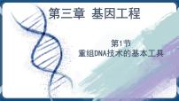 生物选择性必修3第3章 基因工程第1节 重组DNA技术的基本工具公开课课件ppt
