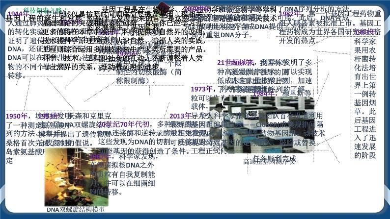 3.1 重组DNA技术的基本工具 (备课件）-【上好课】2021-2022学年高二生物同步备课系列（人教版2019选择性必修3）第3页