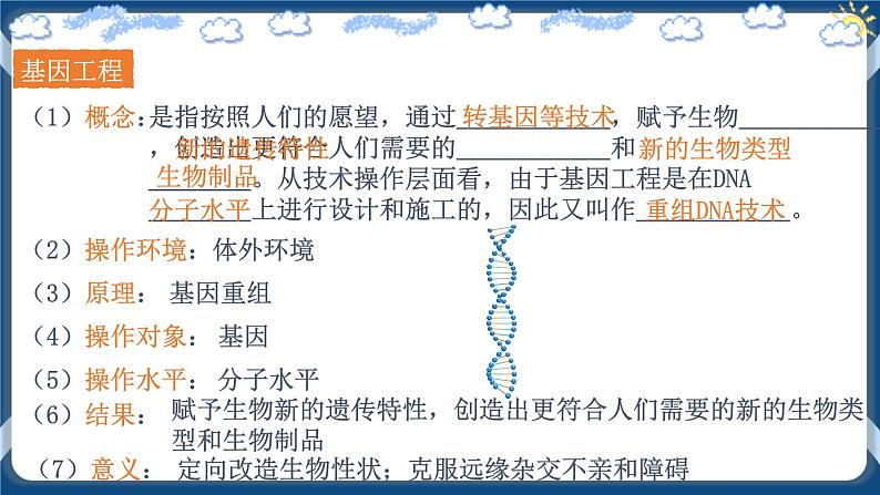 3.1 重组DNA技术的基本工具 (备课件）-【上好课】2021-2022学年高二生物同步备课系列（人教版2019选择性必修3）第4页