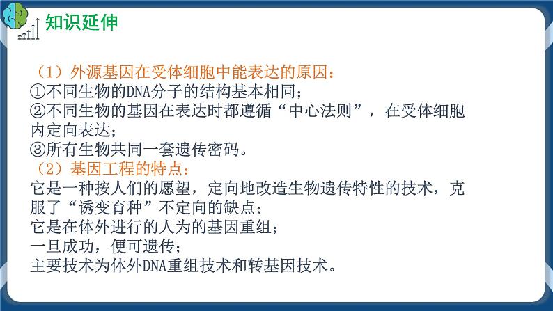 3.1 重组DNA技术的基本工具 (备课件）-【上好课】2021-2022学年高二生物同步备课系列（人教版2019选择性必修3）第5页