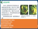 3.2 基因工程的基本操作程序（课件+练习）高二生物（人教版2019选择性必修3）