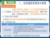 3.2 基因工程的基本操作程序（课件+练习）高二生物（人教版2019选择性必修3）