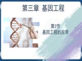 3.3 基因工程的应用 (课件+练习）高二生物（人教版2019选择性必修3）